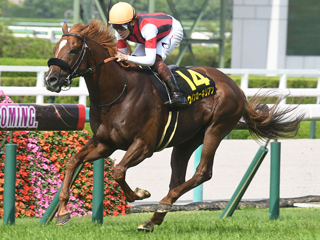 重賞馬は10頭超え しらさぎS前身の米子Sを制した馬たち