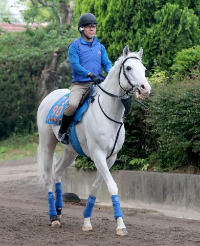 現役引退のハヤヤッコがノーザンホースパークで功労馬として余生を過ごすことに　国枝調教師「俺も見に行こうかな」