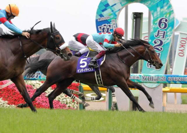 【POG】新種牡馬インディチャンプ産駒のタイセイボーグが21日初陣　田口貫太騎手「操作性がいい」