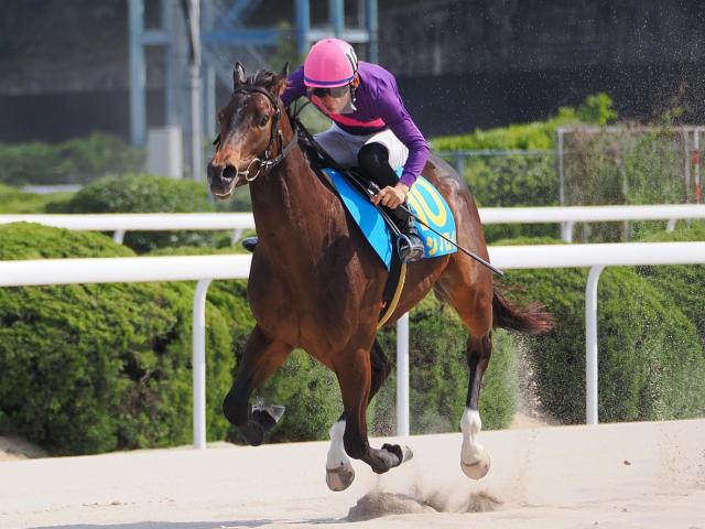 【佐賀競馬】「トモのハリや肩の出が違う」本田土寿氏期待の“第一期生”が九州産限定新馬戦を勝利
