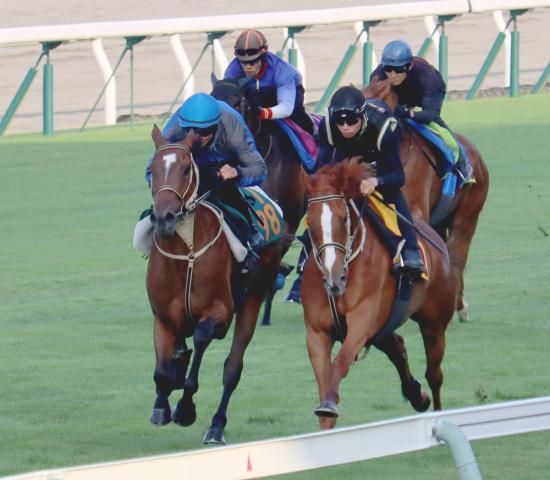 【POG】ウレシイゴサンが新種牡馬の父に初V届ける　佐々木大輔騎手「反応がいい」21日・函館6R予定