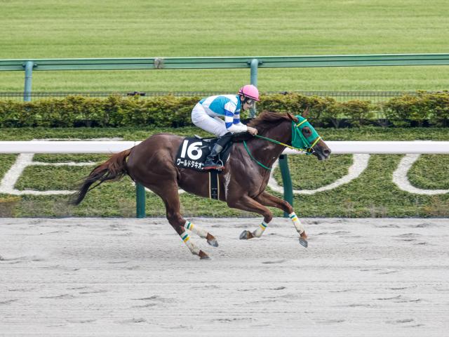 【週末情報】ワールドタキオン1年7カ月ぶり実戦へ/馬三郎のつぶやき