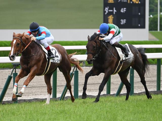 【POG】ローベルクランツは放牧へ/馬三郎のつぶやき