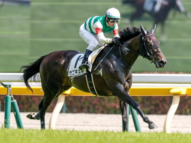 【府中牝馬S出走馬・騎手確定】カニキュル＆戸崎圭太騎手、セキトバイースト＆浜中俊騎手など14頭