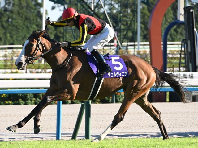 【しらさぎS出走馬・騎手確定】チェルヴィニア＆C.ルメール騎手、レーベンスティール＆川田将雅騎手など14頭
