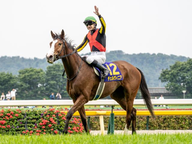 【しらさぎS予想】阪神芝1600mの適性に不安あり!? 近況のリズムもひと息で軽視したい実力馬とは