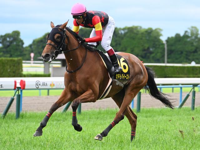 【府中牝馬S予想】前走の走りは鵜呑みにできず!? 血統や馬場状態から軽視したい人気馬とは