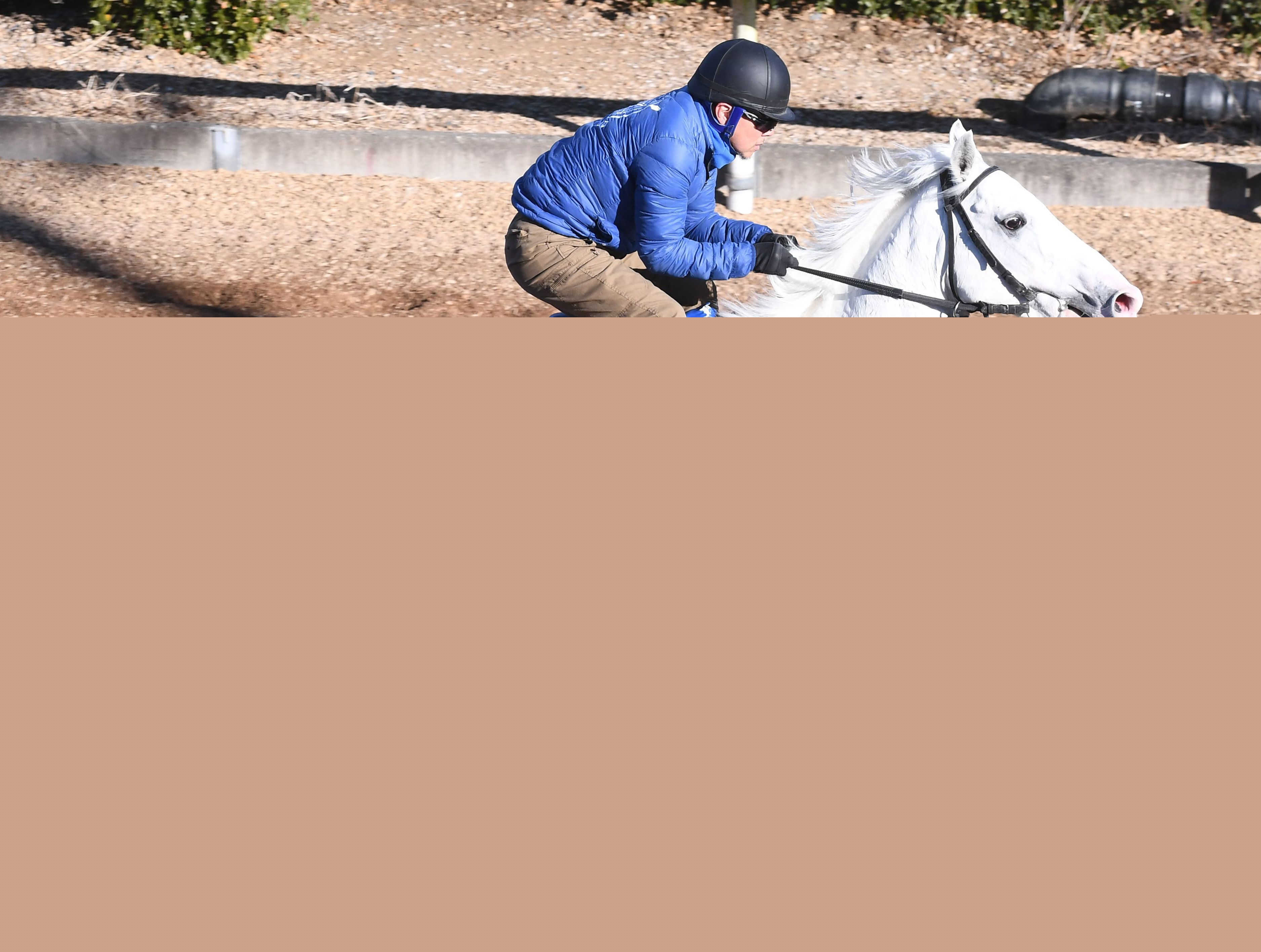 白毛の重賞３勝馬ハヤヤッコが９歳で登録抹消　ノーザンホースパークで乗馬に　ＪＲＡ発表