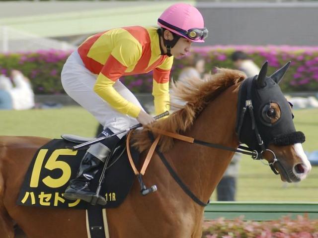 半兄はペプチドナイル ハセドンが1年半ぶりの復帰戦