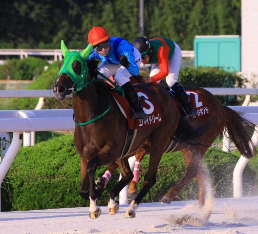 【園田FCスプリント】3歳牝馬ユアマイドリームが逃げ切って初重賞V　吉原「速い馬だなと」