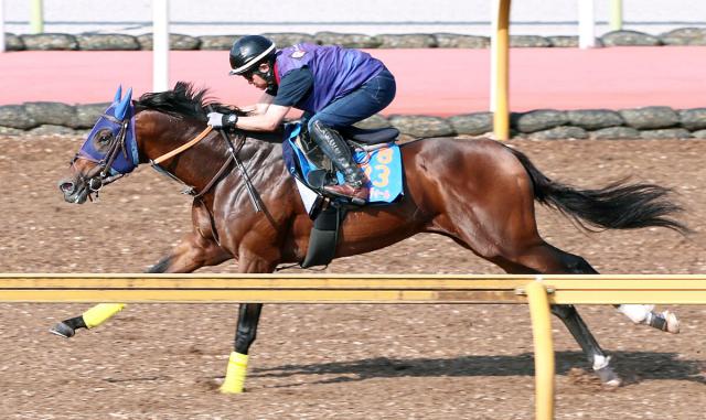 【しらさぎS】昨年の重賞連勝時と遜色ない抜群の伸び見せた5歳関東馬　初の阪神マイルで復活Vへ状態万全