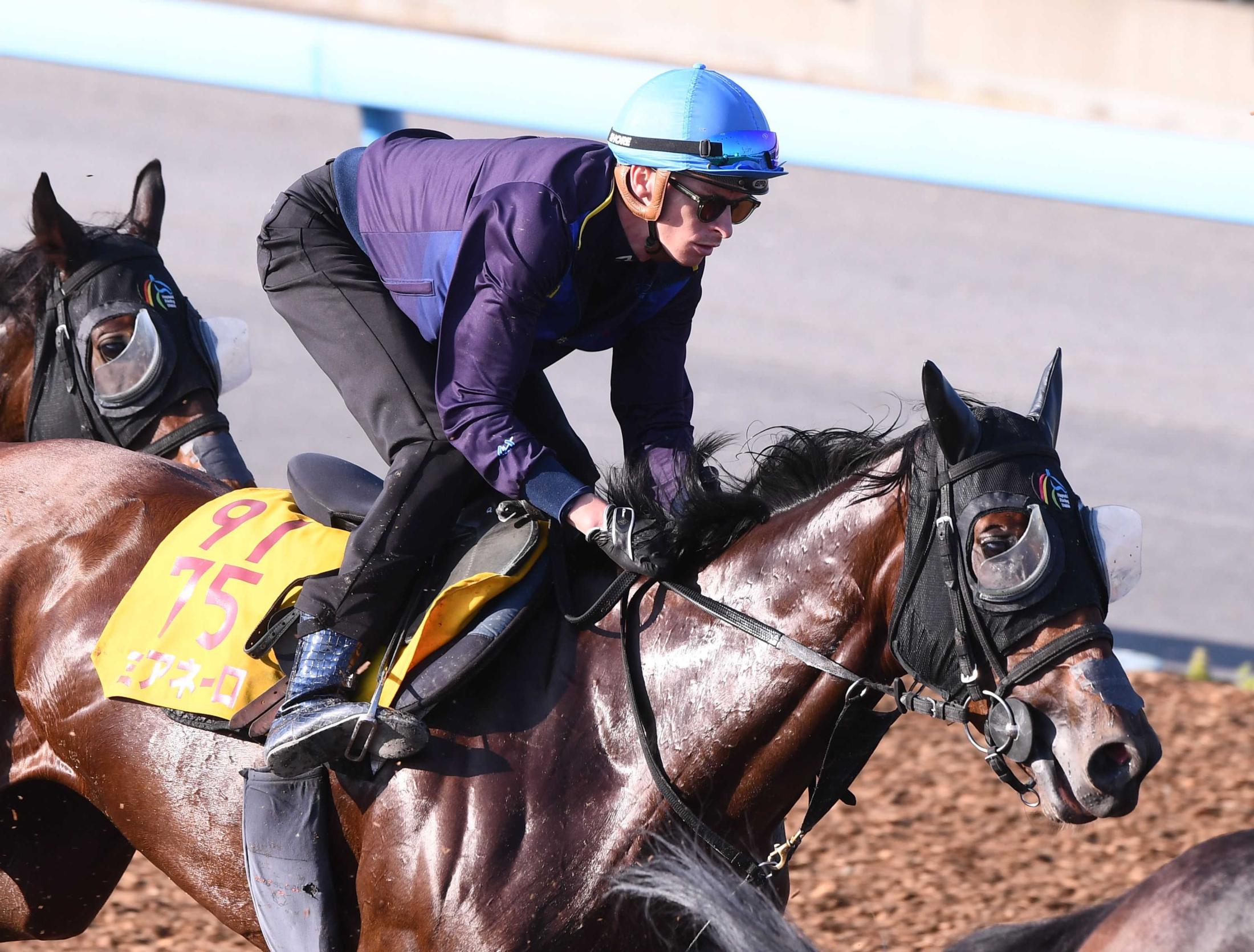 【府中牝馬Ｓ】ディー「シンプルに勝ちたい」ミアネーロとコンビで暴れ締め　勝って能力を「証明したい」