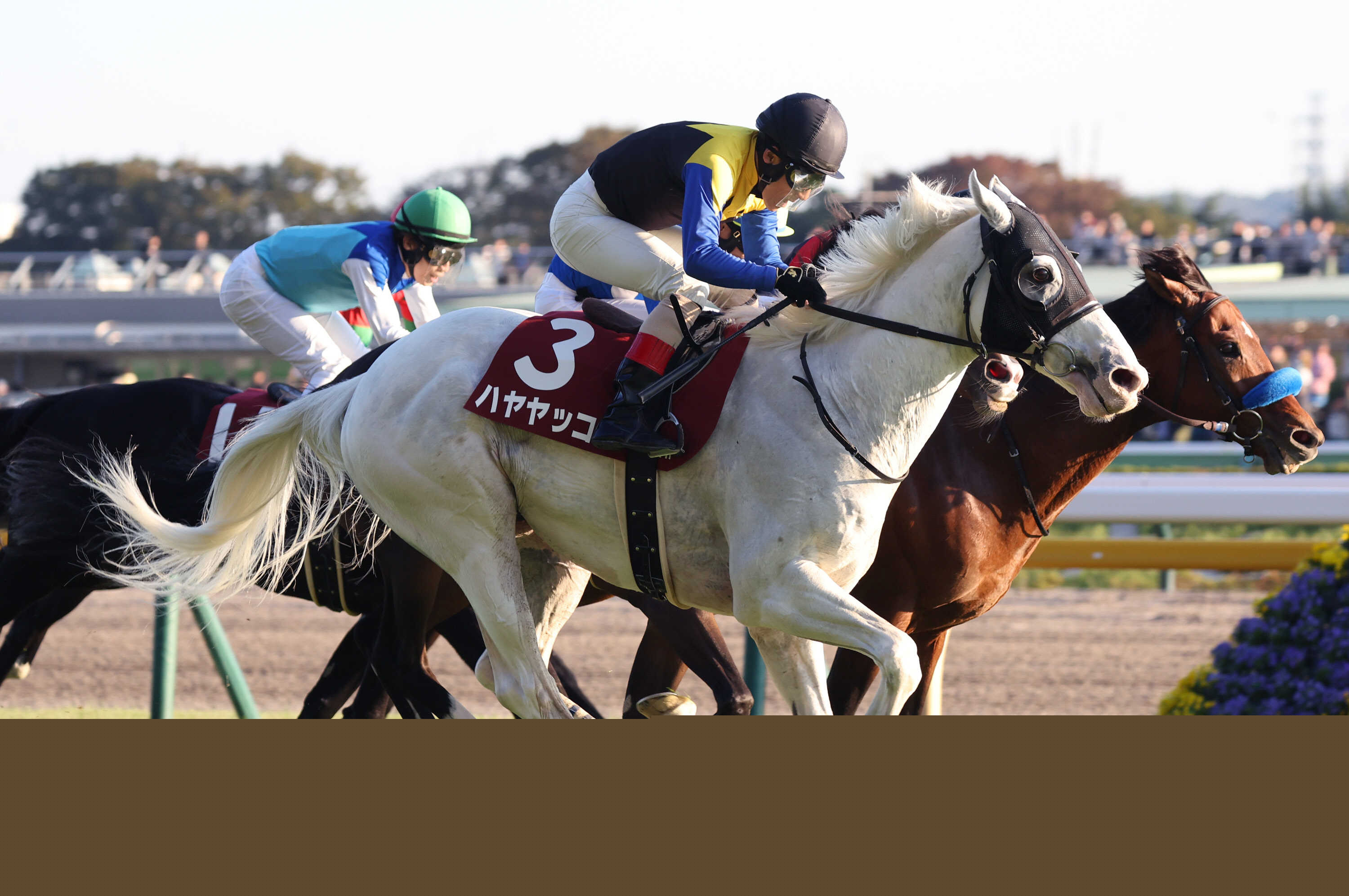 バウンシーステップはＣＢＣ賞へ　重賞３勝馬ハヤヤッコが登録を抹消