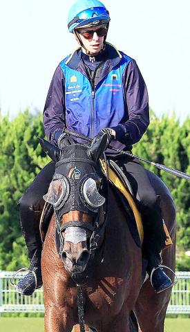 【府中牝馬S】短期免許最終週のディー騎手「能力が高いのは分かっています」ミアネーロで有終の美飾る
