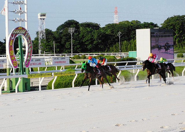 【地方競馬】園田ＦＣスプリント　高知のユアマイドリームが重賞初制覇
