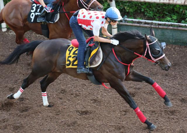 【府中牝馬S】ラヴァンダはポリトラックコースで軽快　中村調教師「変わらないのが一番」