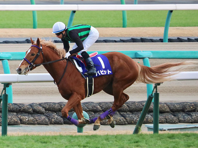 急遽の代打で後の海外G1馬に勝利 内田博幸騎手の鮮やかな逃げ切りから5年