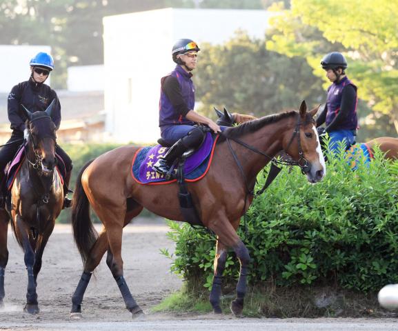 【しらさぎS】チェルヴィニアとルメール騎手は5枠7番　レーベンスティールと川田将雅騎手は4枠6番に　枠順決定