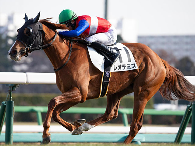 【UHB杯】波乱傾向の一戦 前走中山芝1200m組に注目だ