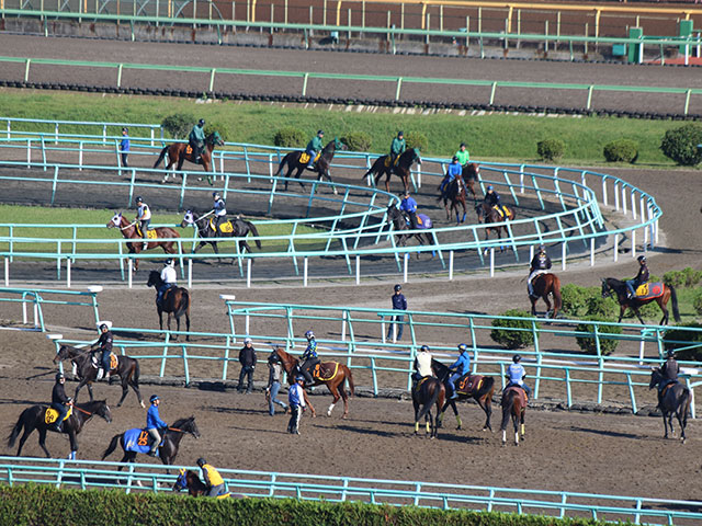 調教ゼッケンや帽子の違いに隠された意味とは 美浦トレセンや函館競馬場で公開調教実施