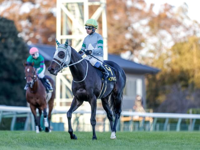 【有力馬動向】ペアポルックスは青函S反撃へ/馬三郎のつぶやき