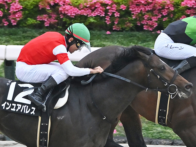 【天保山S】2桁人気も馬券圏にぎわす 脚質別では逃げ馬が上々