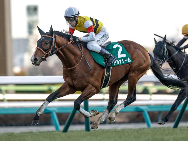 【函館記念想定馬・騎手】アルナシーム、ハヤテノフクノスケなど14頭