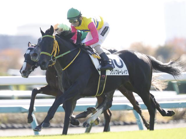 【ラジオNIKKEI賞想定馬・騎手】フクノブルーレイク、センツブラッドなど14頭