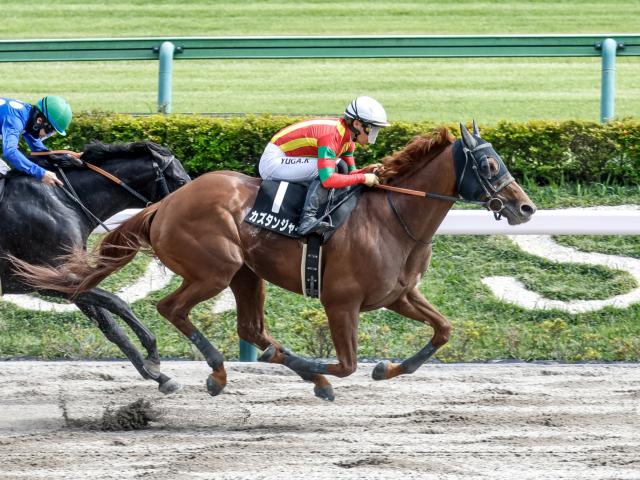 【今日の注目ポイント】新馬戦にクロワデュノールの全弟チャリングクロスなどが登場