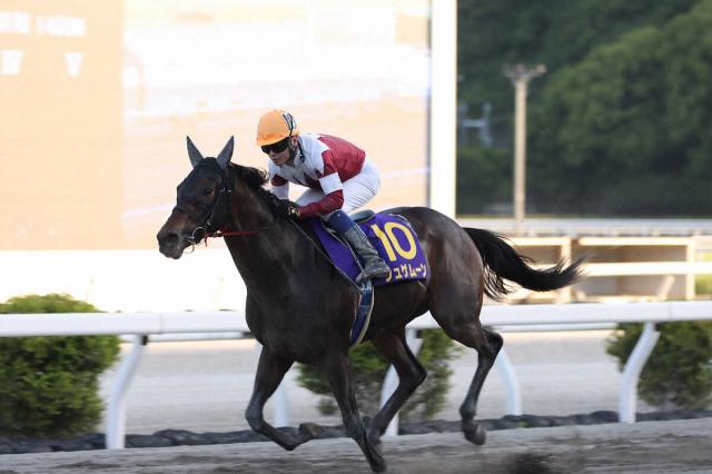 【高知競馬　高知優駿　22日発走】地元で敵なし　ジュゲムーン　高知3歳2冠へ視界良好