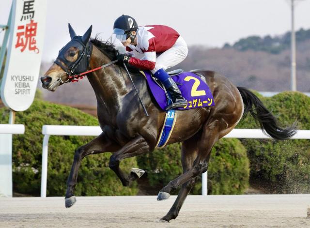 【高知競馬・高知優駿(22日)大恵陽子のイチオシ】ジュゲムーン2冠だ