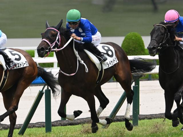 【阪神5R新馬戦結果】タイセイボーグが競り合いを制す インディチャンプ産駒のJRA初勝利