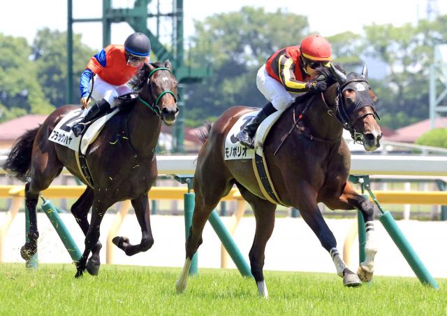 【東京5R・2歳新馬】良血馬モノポリオが1番人気に応えてV　ルメール騎手「距離を延ばしても問題ない」
