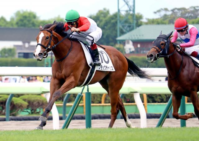 【函館5R・2歳新馬】2週目もレコード決着!　ブラックチャリスが先週の2歳レコードを0秒2更新して初陣V