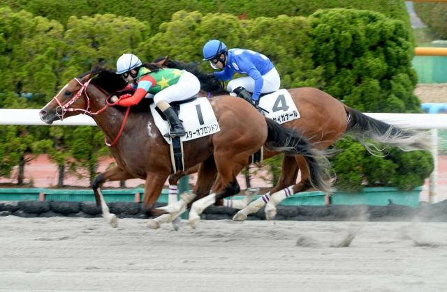【函館6R・新馬戦】スターオブロンドンが接戦を制す　古川奈「最後まで一生懸命走りました」