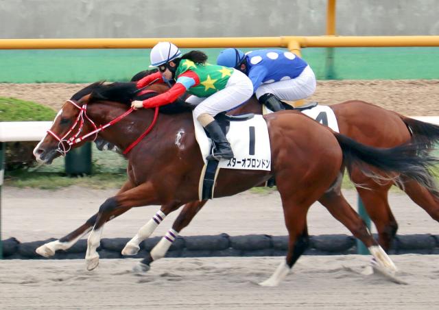 【函館6R・2歳新馬】スターオブロンドンと古川奈穂騎手が追い比べを制す　次走は函館2歳Sの予定