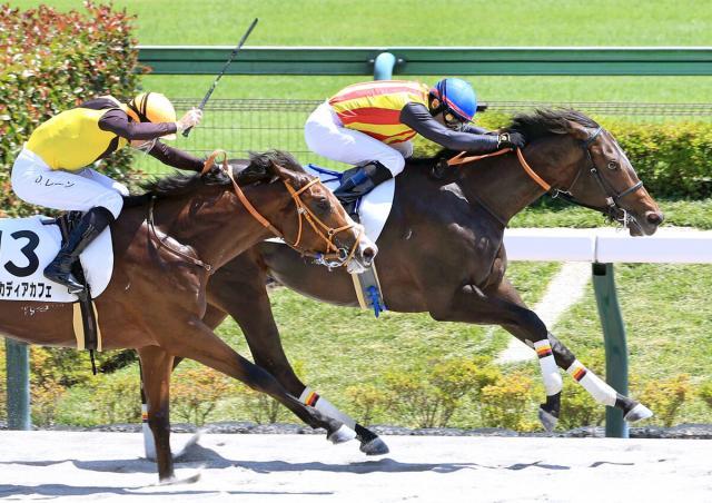 【東京6R・2歳新馬】ドレフォン産駒ペルセアが抜群の勝負根性で初陣V　ルメール騎手「並んでからまたやる気になった」