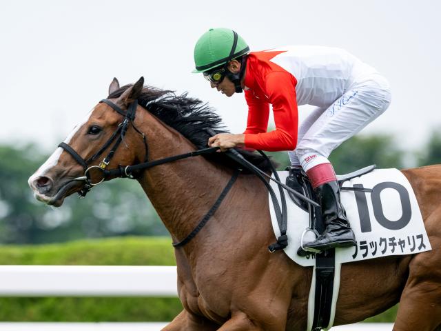 【メイクデビュー函館5Rレース後コメント】ブラックチャリス浜中俊騎手ら