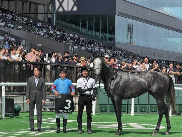 東京9R・町田特別　3歳馬ヤマニンブークリエが格上挑戦で2勝目　松永幹師「強い競馬をしてくれた」