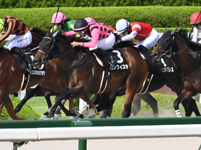 【天保山S結果】コンクイスタが差し切りオープン初勝利