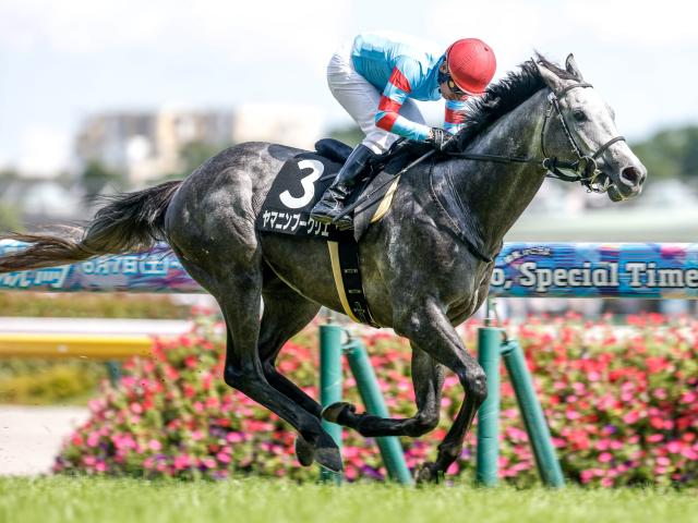 【町田特別レース後コメント】ヤマニンブークリエ松永幹夫調教師ら