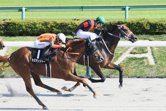 【東京11R・スレイプニルS】クールミラボーが得意コースでオープン初勝利　戸崎圭太騎手「反応が良かった」