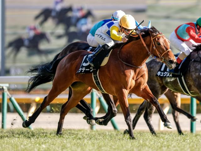【AI予想・府中牝馬S】前走で重賞級のポテンシャルを証明！ 実績十分の舞台で重賞初制覇を目指す人工知能の本命馬