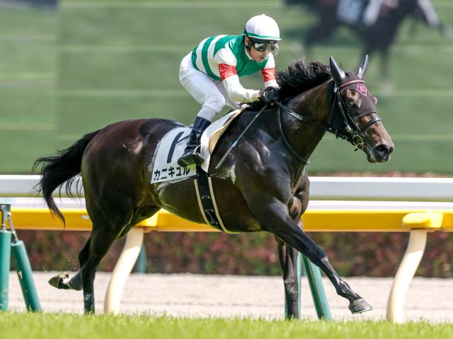 【府中牝馬S前日オッズ】カニキュルが2.4倍で1番人気
