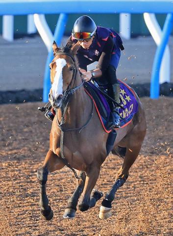 【しらさぎS】G1・2勝馬チェルヴィニア参戦も意外な混戦ムード　単勝1ケタ台が5頭　前日最終オッズ発表