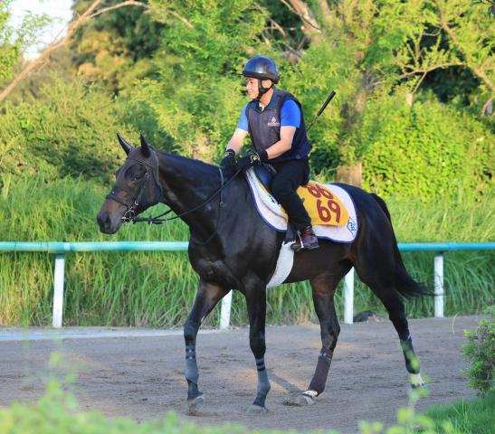 【府中牝馬S】格上挑戦のカニキュルが単勝2・4倍と断然の1番人気　以下は混戦ムード
