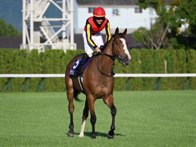 【今日の注目ポイント】府中牝馬Sと阪神で新設重賞・しらさぎS