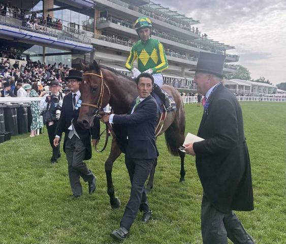 サトノレーヴは惜しい2着　英王室開催G1日本馬初Vならず　モレイラ「1頭、強い馬がいた」