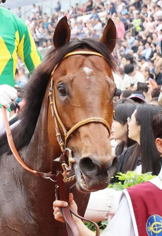 【QE2世ジュビリーS】惜しい!高松宮記念制覇サトノレーヴは2着　日本馬初のロイヤルアスコット開催制覇ならず