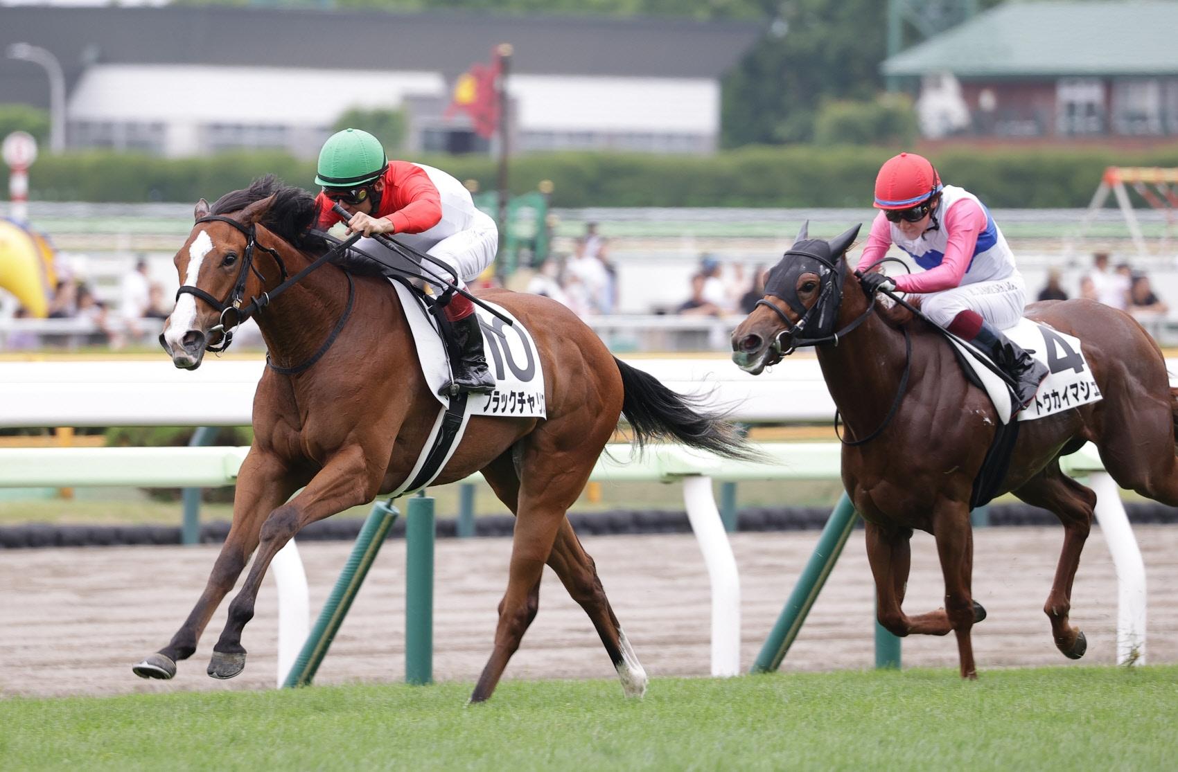 【新馬戦】ブラックチャリス　コースレコード０秒２更新　母ゴールドチャリスに騎乗経験の浜中「姿形、走り方が似ている」